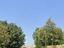 Immagine 11