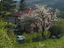 Immagine 4
