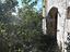 Immagine 26