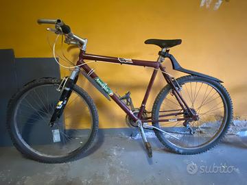 Bicicletta da uomo