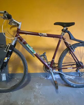 Bicicletta da uomo