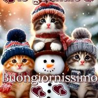 ricambi parte anteriore kadjar 2016