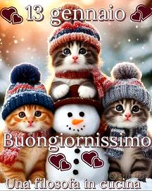 ricambi parte anteriore kadjar 2016