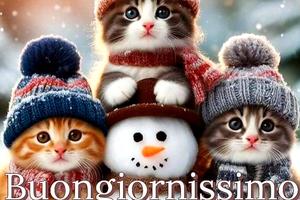 ricambi parte anteriore kadjar 2016