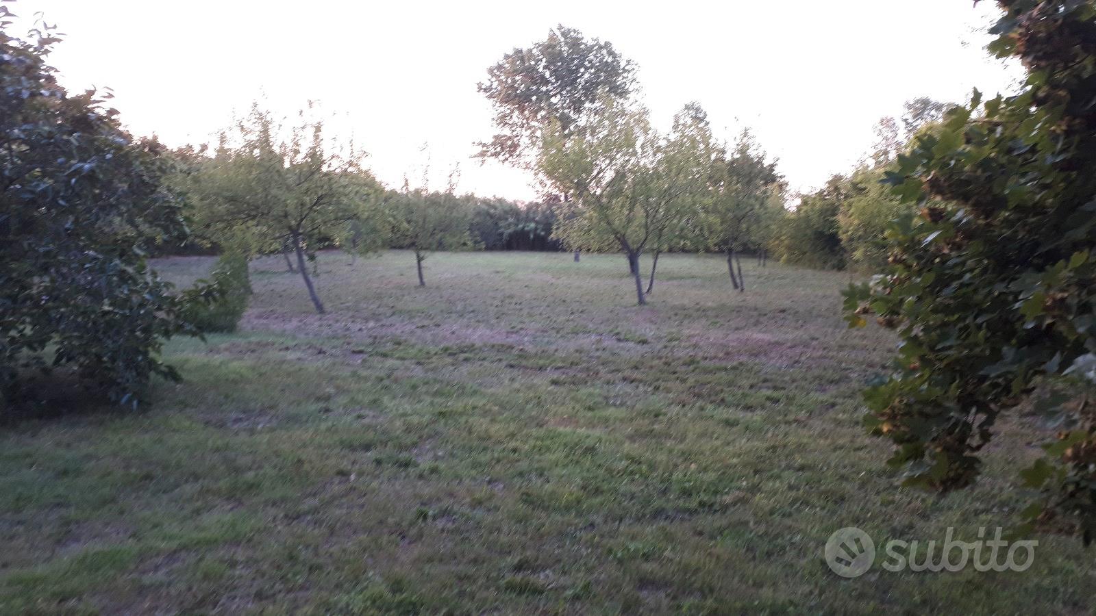 Terreno agricolo 3000mq - Vista 2
