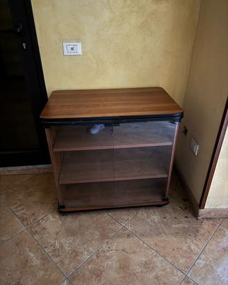 mobile porta tv