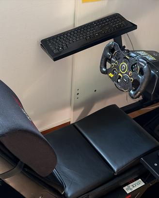 Simulatore guida G923 + Next level racing F-gt
