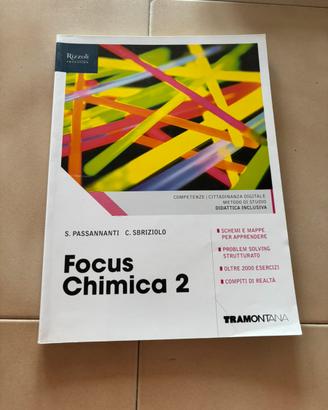 Rizzoli: Focus Chimica 2