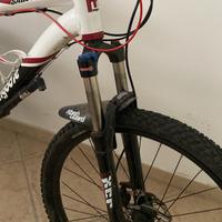 Mountain bike (mongoose)