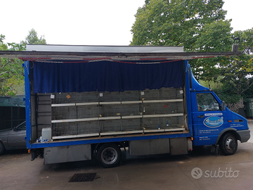 Per chiusura attività