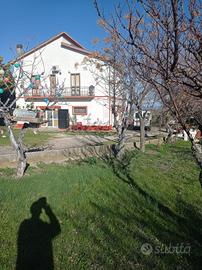 Villetta rustica / Appartamenti