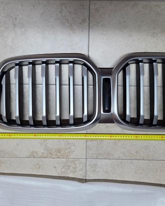 Calandra anteriore BMW X3 (G01) originale
