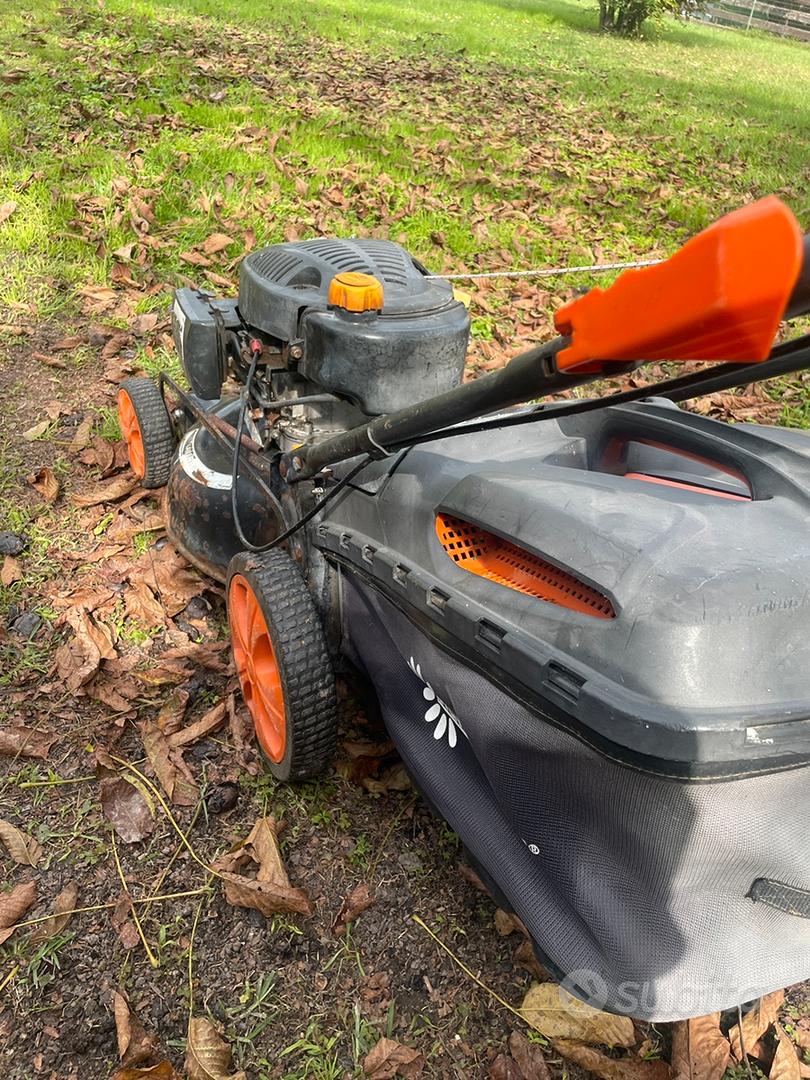 Grass Cutter Trimtech 190cc Petrol Lawnmower Marketplace
