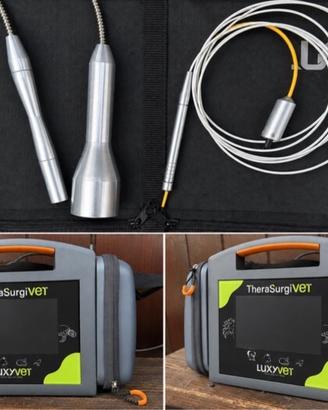 Laser veterinario THERASURGYVET