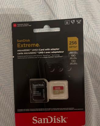 san disk extreme 256 gb