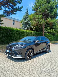 LEXUS NX 300 H F-Sport