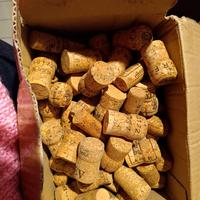 300 pezzi tappi in sughero usati 