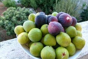 Quest'anno vieni al mare in Salento