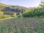 Immagine 25