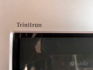 TV SONY Triniton con digitale terrestre