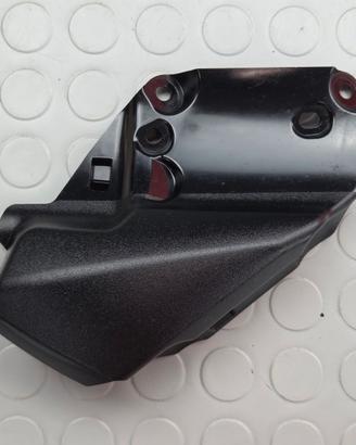 PLASTICA 2507200 TRIUMPH STREET TRIPLE 675 2007 20