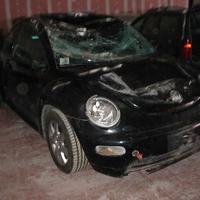 Volkswagen New Beetle 1.9 TDI 101CV