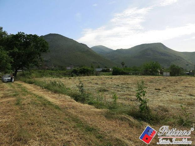 Terreno agricolo - Fondi