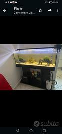 Acquario 100 LT completo  + mobiletto.