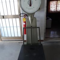 BILANCIA AD OROLOGIO BASCULANTE BERKEL