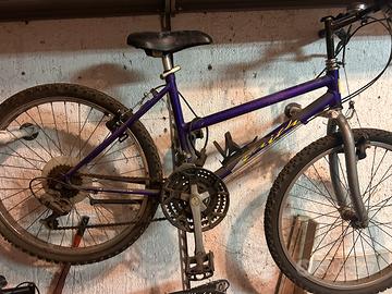 Bici da ragazza