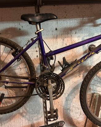 Bici da ragazza