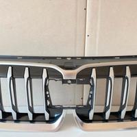 Griglia radiatore x BMW x1. U11 X-LINE