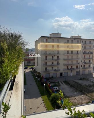 Stanze/posti letto studenti/esse