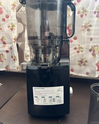 Estrattore di succo Slow Juicer della LinkChef