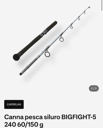 Canna pesca siluro