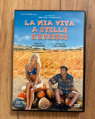 Dvd film la mia vita a stelle e strisce