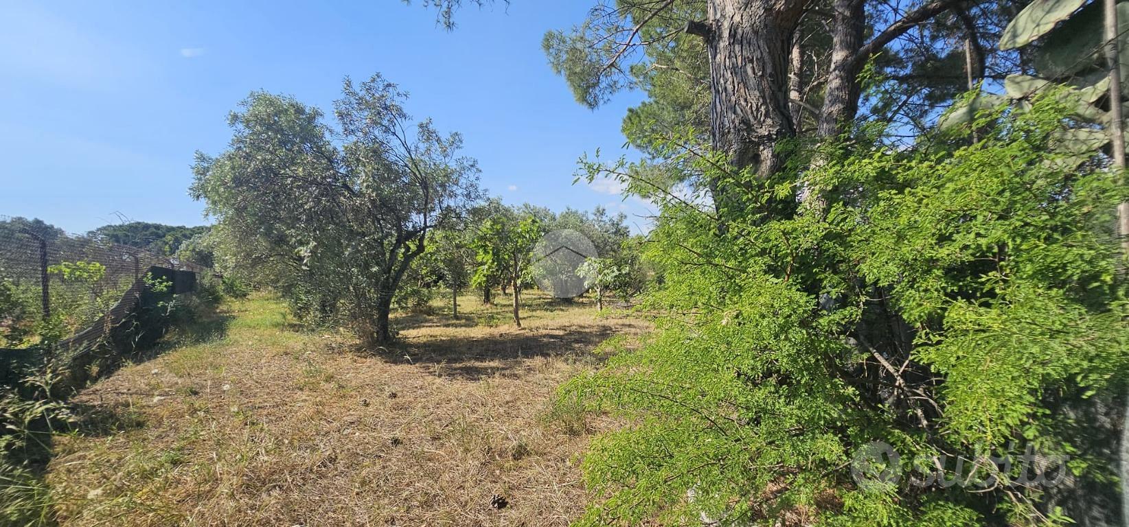 TER. AGRICOLO A QUARTUCCIU - Vista 3