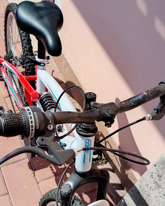 bicicletta 