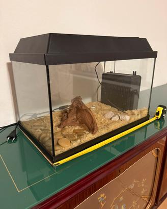 Acquario