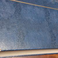 Enorme album di francobolli SVIZZERA.