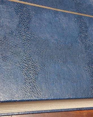 Enorme album di francobolli SVIZZERA.