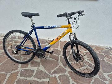 bicicletta 