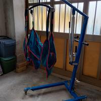 Sollevatore per disabili