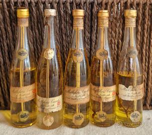 Mignon Millefiori Cucchi