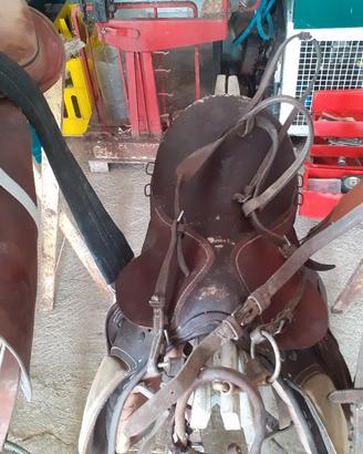 selle cavallo poni 