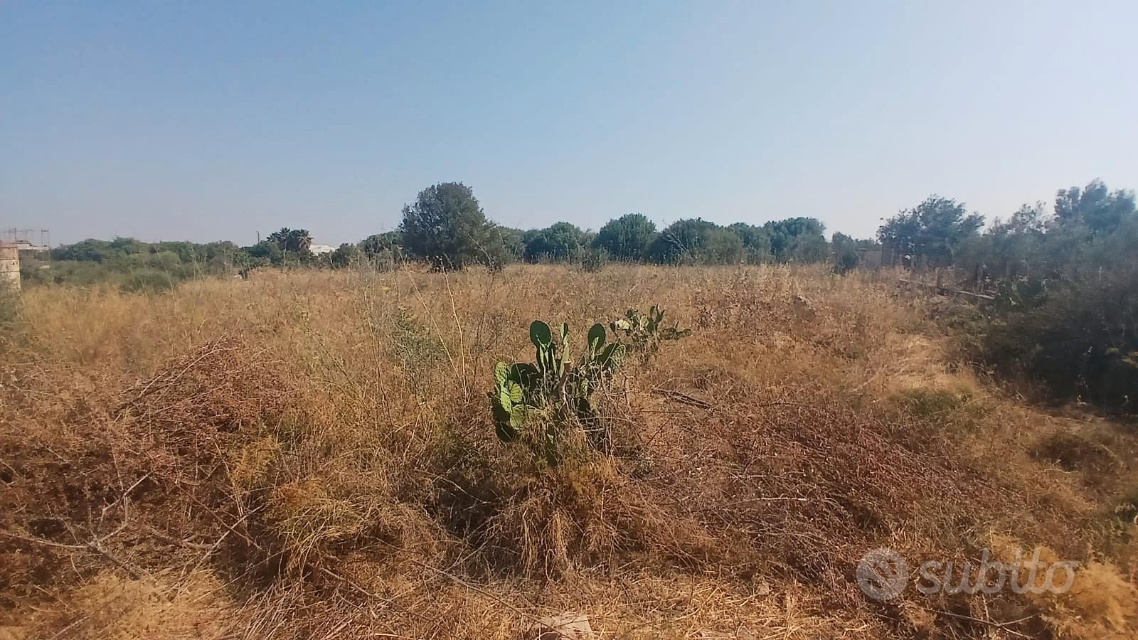 Terreno edificabile a marina di ragusa - Altro