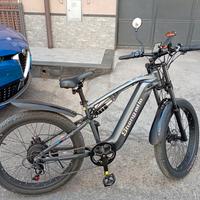 bici elettrica 