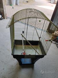 6gvendo gabbia 