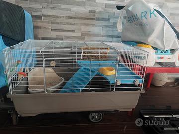 gabbia per coniglio 