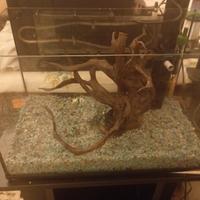 acquario 50x27xh33 completo